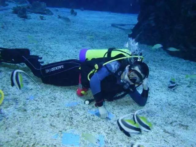 废弃海盗船逃脱